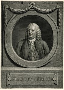 Albert von Haller af German School