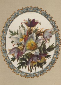 Anemoner (chromolit) af German School