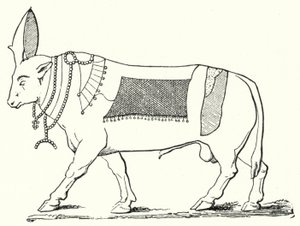 Apis, hellig tyr fra det gamle Egypten (gravering) af German School