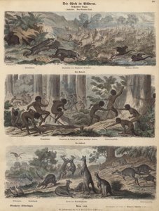 Australien (farvet gravering) af German School