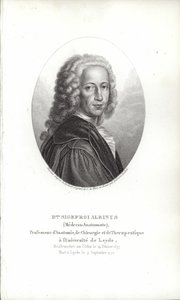 Bernhard Siegfried Albinus af German School