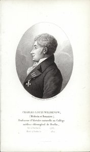 Charles Louis Wildenow af German School