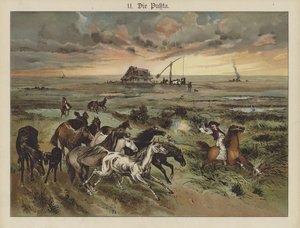 Die Pukta (farve litho) af German School