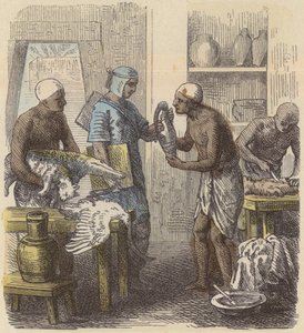 Balsamering af dyr i det gamle Egypten (farvet indgravering) af German School