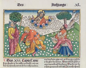 Anden Mosebog 16 13-22 Gud sørger for vagtler og manna til israelitterne, fra Nürnbergbibelen (Biblia Sacra Germanaica) (farvet træsnit)