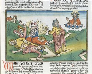Anden Mosebog 9 8-12 Egyptens syv plager: Moses og bylder, fra Nürnbergbibelen (Biblia Sacra Germanaica) (farvet træsnit) af German School