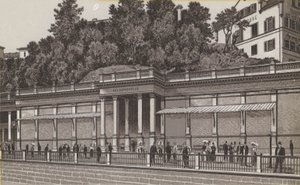 klippefjeder (litho) af German School