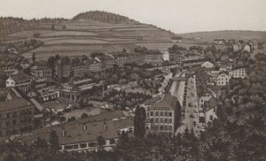 række af haver (litho) af German School