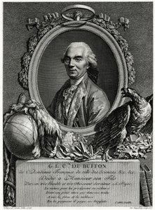George Louis Leclerc greve af Buffon af German School