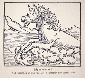 Flodhest fra Sebastien Münsters 