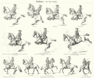 Horsemanship (gravering) af German School