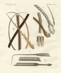 Menneske- og dyrehår