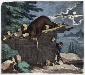 Jæger, der ønsker at dræbe bjørnen fra alpeskoven. I "" Wenn Jemand eine Reise thut, so kann er was erzahlen"" (Når nogen rejser, det er det, han kan fortælle), tysk fortælling af Franz Wiedemann af German School