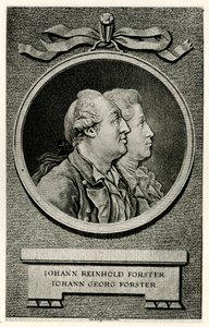Johann Georg Forster af German School