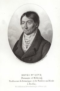 Johann Heinrich Friedrich Link af German School