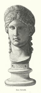 Juno Ludovisi, gammelt romersk kolossalt marmorhoved, der forestiller Antonina Minor, datter af Mark Antony og Octavia Minor, som gudinden Juno (gravering) af German School