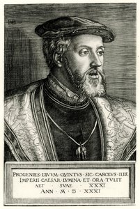 Charles V. af German School