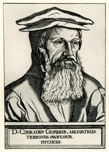 Konrad Gesner af German School