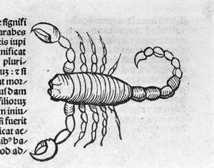 Le Scorpio - i afhandling af Johannes Angeli De Magnisconnectionibue annorum revolutionis et eum pefectionis. Augsburg, Erhard Ratdolt af German School