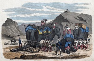 Lader elefanter til hr. Bocks tur til Dresden. I "" Wenn Jemand eine Reise thut, so kann er was erzahlen"" (Når nogen rejser, det er det, han kan fortælle), tysk fortælling af Franz Wiedemann af German School