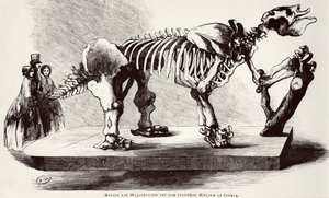 Megatherium skelet på British Museum af German School
