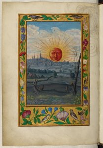 Ms Harley 3469, f.33v Sol med menneskeansigt stiger, den femte afhandling, fra 