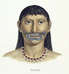 Indfødt mand af Arara-stammen med blå ansigtsmaling, fra Atlas of a Journey in Brazil af Johann Baptist von Spix (1781-1826) og Karl Friedrich Philipp Martius (1794-1868), udgivet ca. 1835-50 (farve) af German School