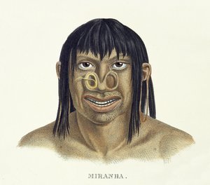 Indfødt mand af Miranha-stammen, med næsedekoration, fra Atlas of a Journey in Brazil af Johann Baptist von Spix (1781-1826) og Karl Friedrich Philipp Martius (1794-1868), udgivet ca. 1835-50 (kol. af German School