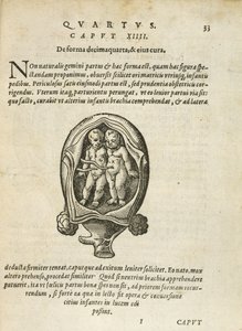 Ikke-identiske tvillinger i livmoderen, illustration fra kapitel 14, bog 4 i Om undfangelse og vækst af mennesket af Rueff, 1587 af German School