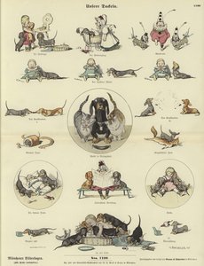 Vores gravhunde