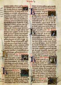 Side fra De Natura Rerum om fugle, af Albertus Magnus (ca. 1200-1280) af German School