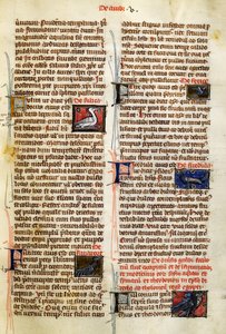Side fra De Natura Rerum om fugle, af Albertus Magnus (ca. 1200-1280) af German School