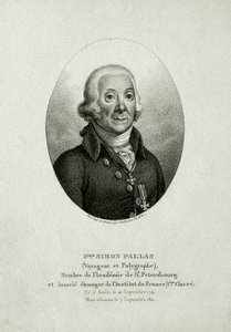Peter Simon Pallas. (1741 – 1811) (Streggravering) af German School