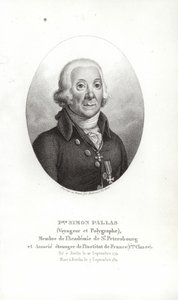 Peter Simon Pallas af German School