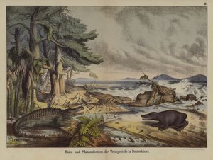 Planter og dyr fra triasperioden i Tyskland (farve litho) af German School
