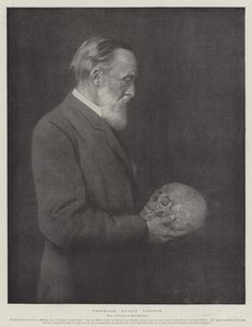 Professor Rudolf Virchow (litho) af German School