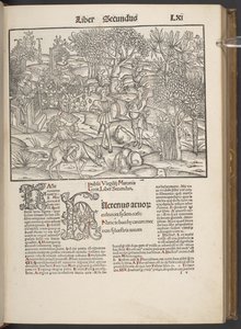 The Works of Publius Virgilius Maronis..., Argentorati C. LXIr af German School