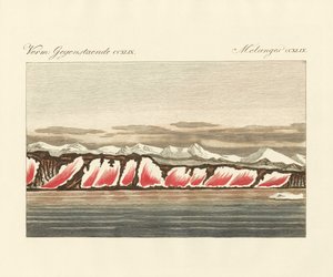 Rødfarvet sne (farvet gravering) af German School