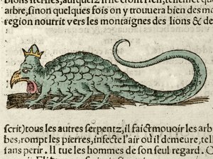 Repræsentation af det mytologiske monster Basil Xilography taget fra Sebastien Munsters Universal Cosmography. balle af German School