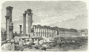 Ruinerne af byen Palmyra, Syrien (gravering) af German School