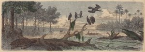 Sydamerika: flodmunding i Guyana (farvet gravering) af German School