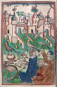 Fuglene og luftens skabninger, illustration fra "Hortus Sanitatis" ("Sundhedshaven") 1491 (farvet træsnit) af German School