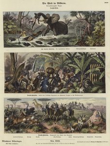 Verden i billeder: Tysk Afrika