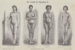 Den menneskelige figur (gravering) af German School