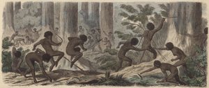 To stammer af australske aboriginer kæmper (farvet indgravering) af German School