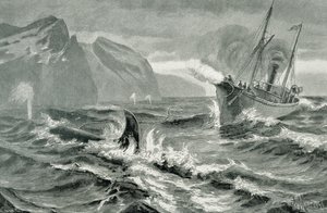 Brug af en harpunpistol fra en hurtig dampbåd af German School