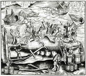 Hvalfiskeri efter et træsnit i Cosmographie Universelle of Munster, udgivet 1552 af German School