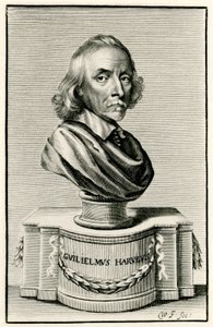 William Harvey af German School