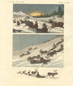 Vinterture i Lapland (farvegravering) af German School