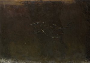 Fisk i et akvarium